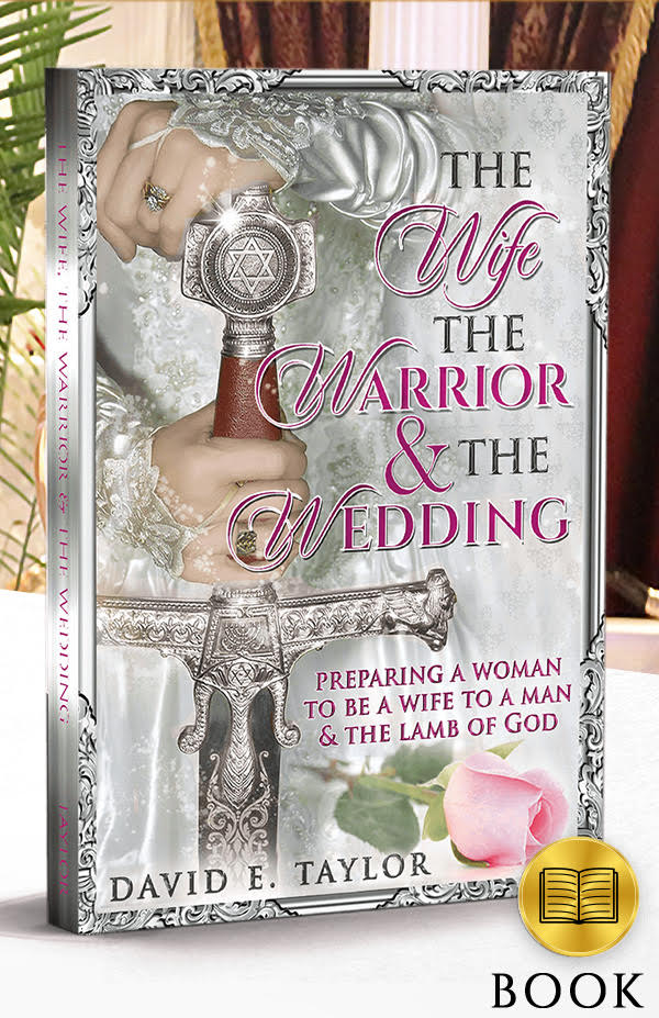 The Wife, The Warrior, and the Wedding Book- Now Available!