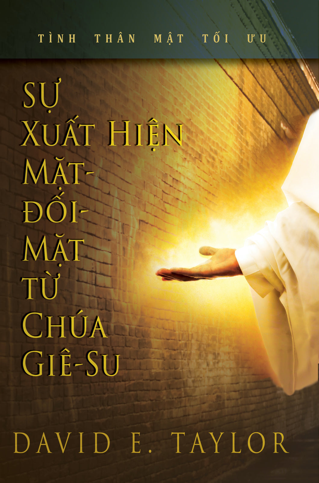 Vietnamese – Face to Face Appearances from Jesus E-Book