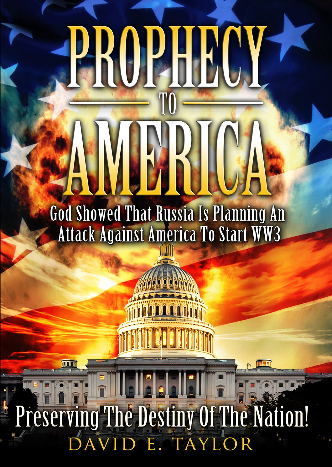 Prophecy to America : Preserving the Destiny of the Nation E-Book