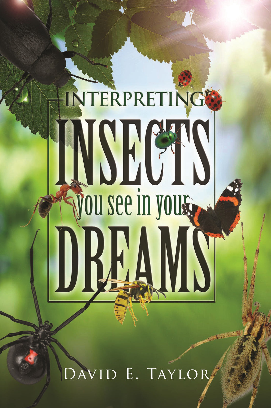Interpreting Insects You See in Your Dreams Booklet E-Book