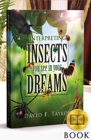 Interpreting Insects You See in Your Dreams Booklet